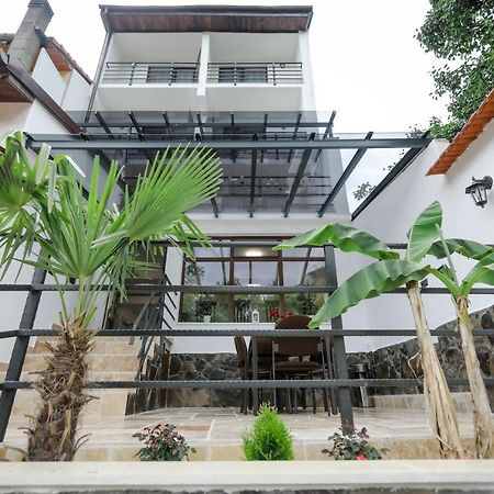 Casa Marica 호텔 바일레헤르쿨라네 외부 사진